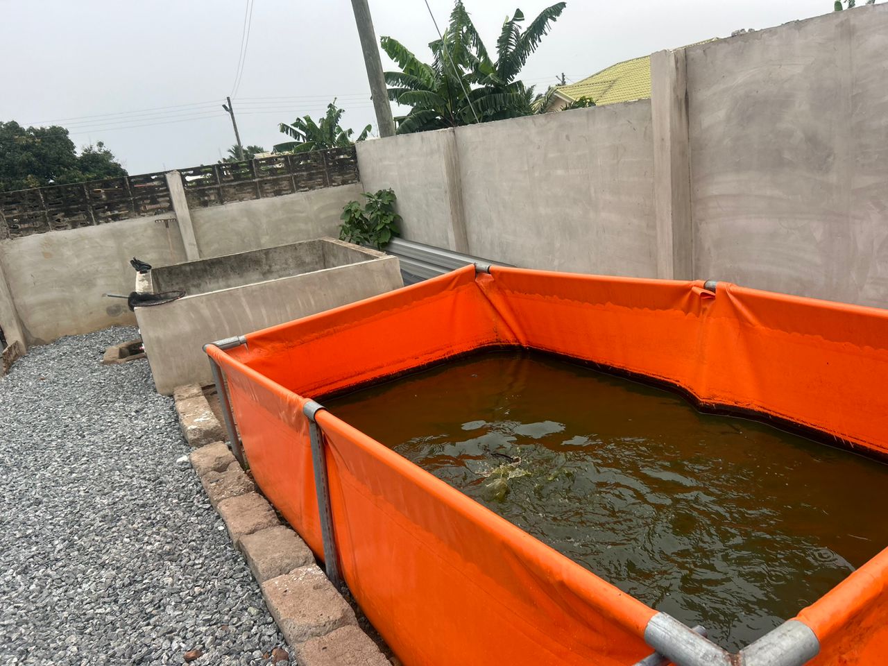 whatsapp image 2025 12 18 at 11.28.24 am (1)