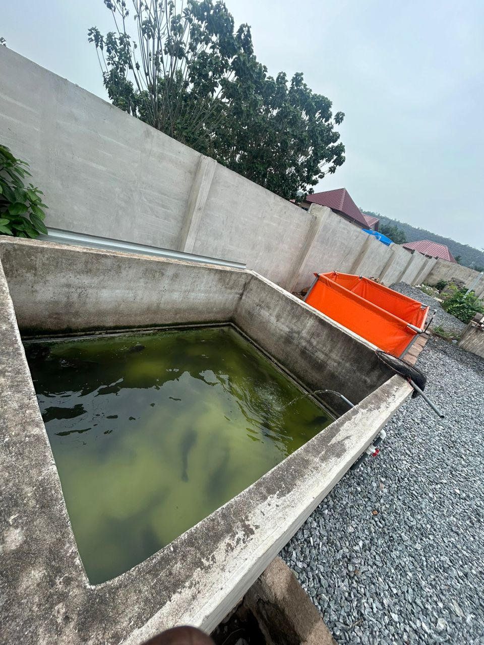 whatsapp image 2025 12 18 at 11.28.34 am