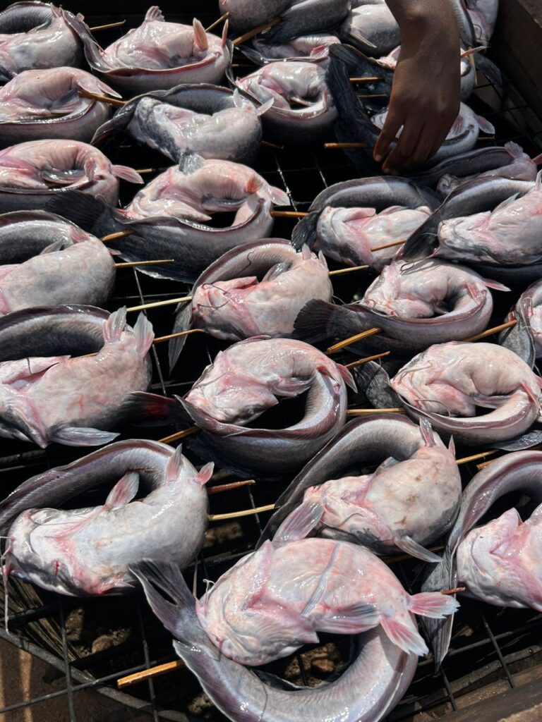 whatsapp image 2025 12 18 at 12.16.19 pm