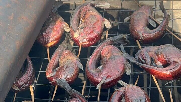 whatsapp image 2025 12 18 at 12.16.20 pm (3)