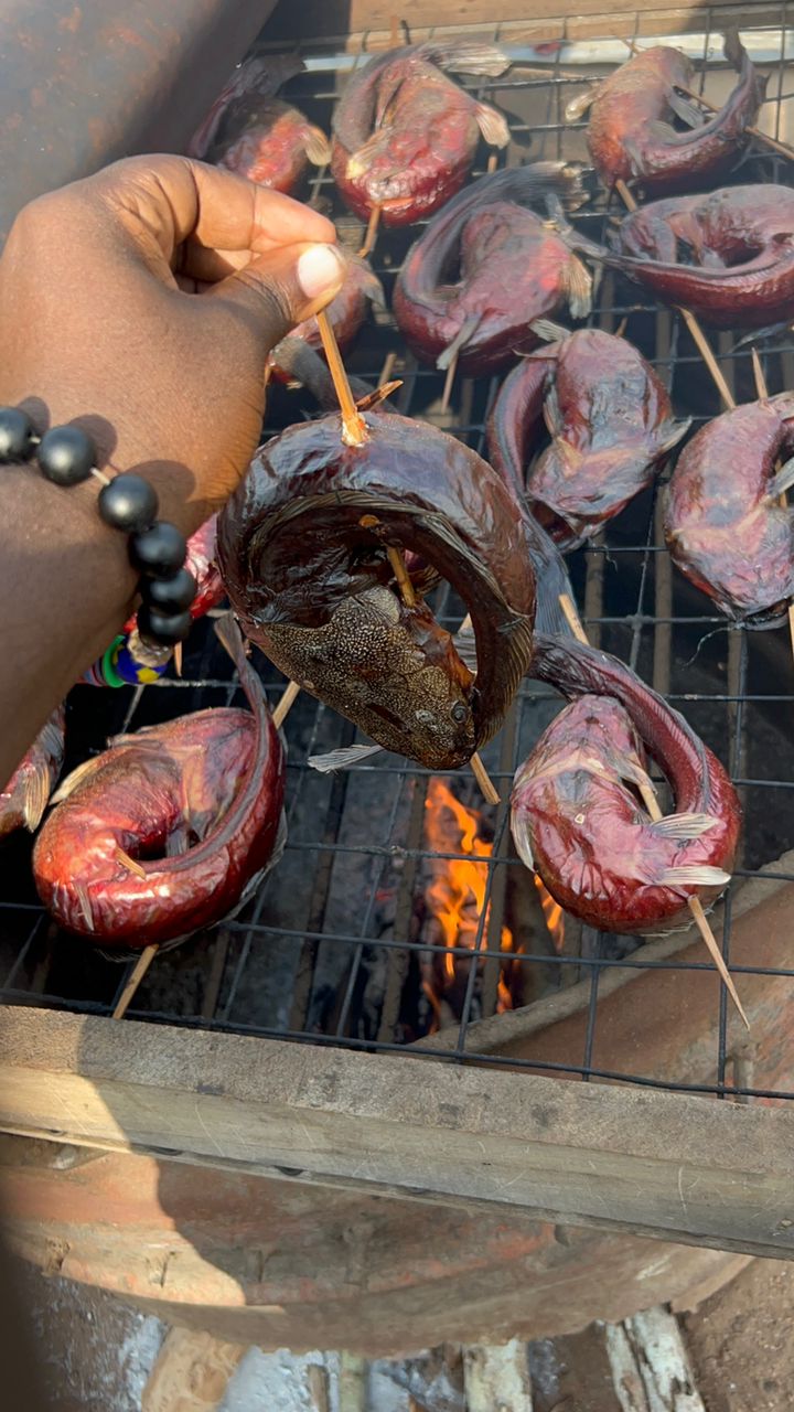 whatsapp image 2025 12 18 at 12.16.21 pm (4)