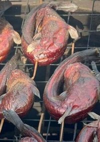 whatsapp image 2025 12 18 at 12.16.20 pm (3)